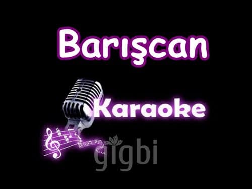 Barışcan — çalışma 5