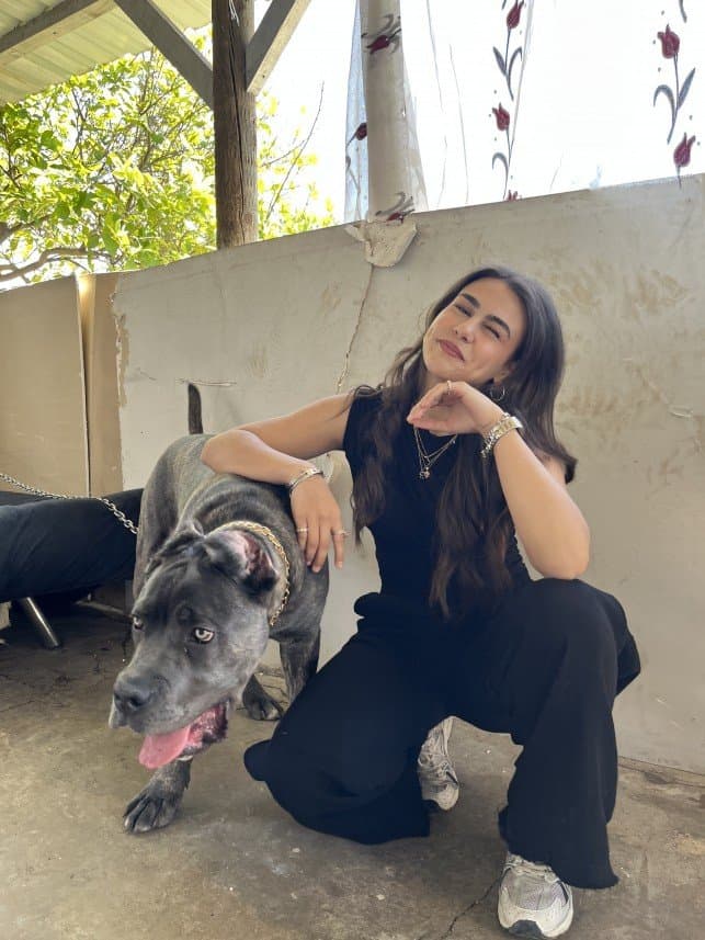 Başak K. — çalışma 2