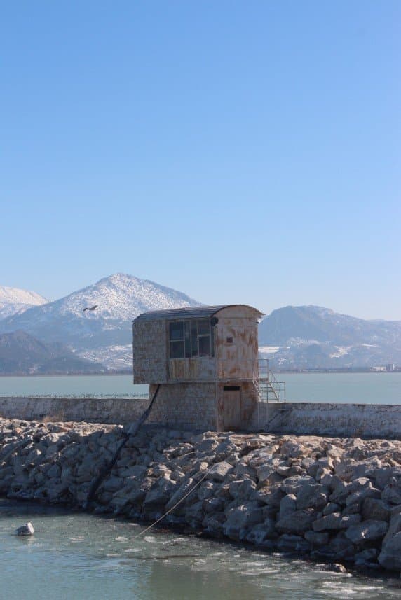 Batuhan Y. — çalışma 2