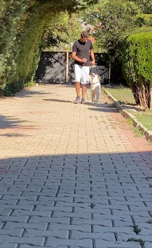 Baybars Ü. — çalışma 3