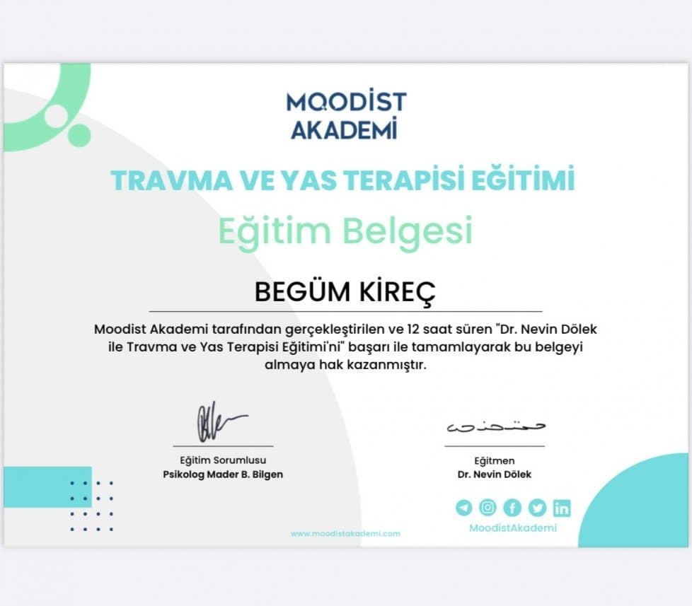 Begüm K. — çalışma 3
