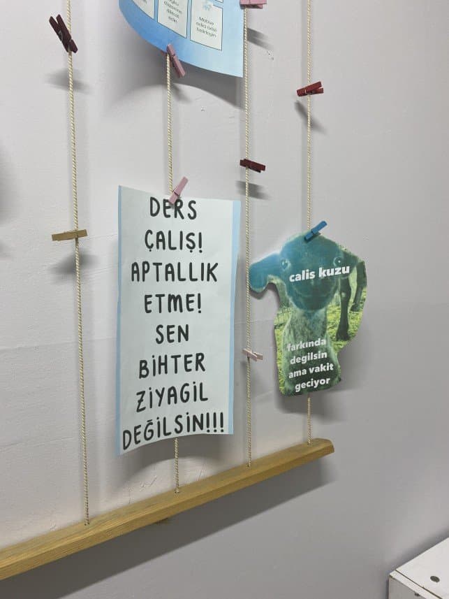 Begüm R. — çalışma 1