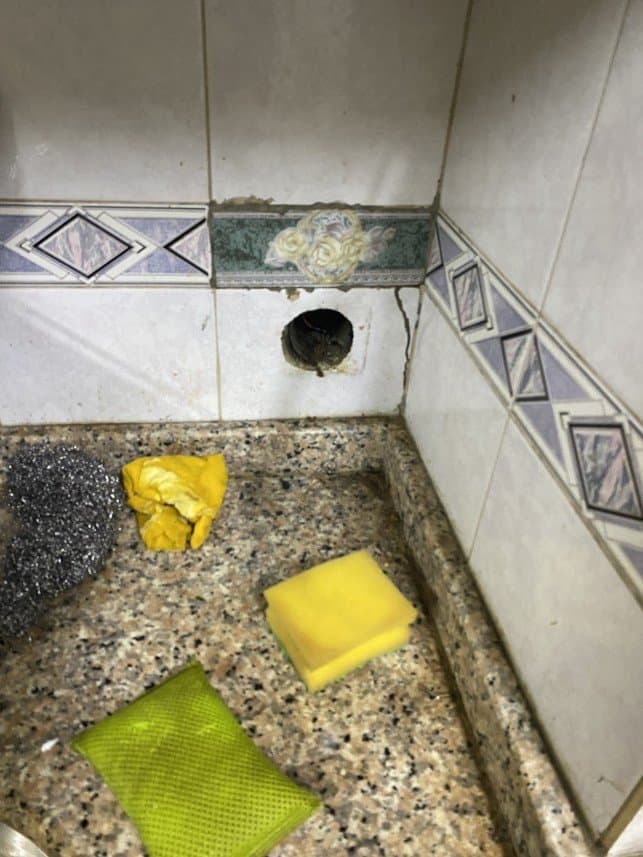 Bekan S. — çalışma 1
