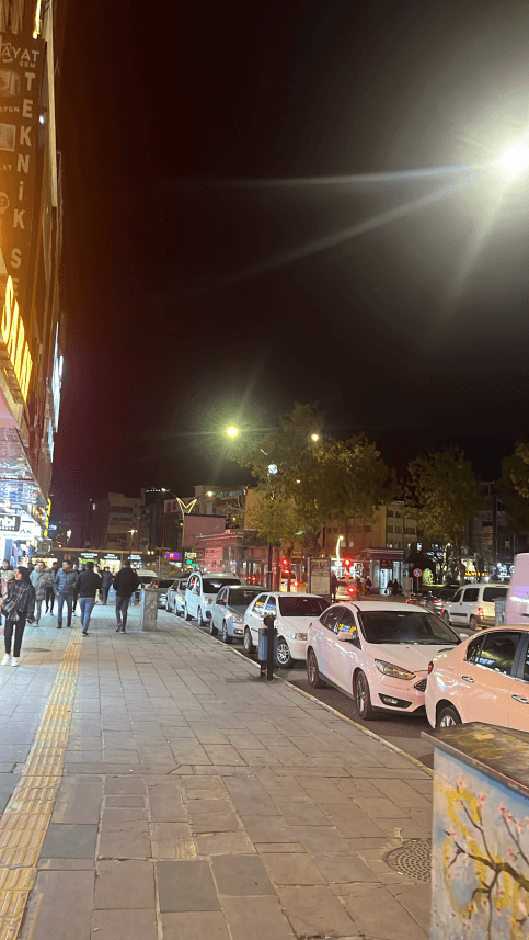 Beril A. — çalışma 1