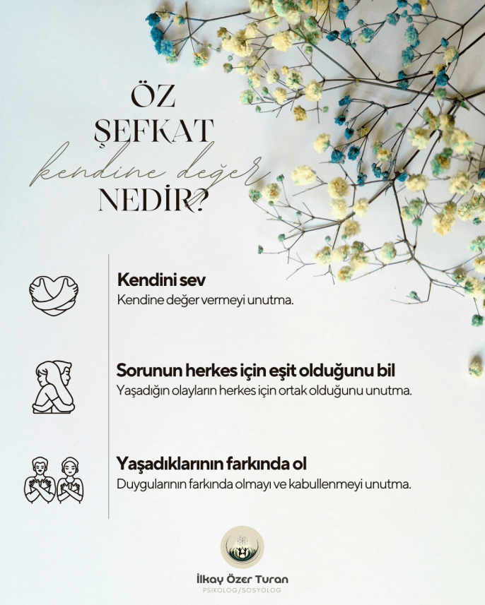 Berk D. — çalışma 4