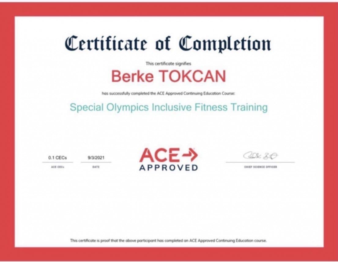 Berke T. — çalışma 1