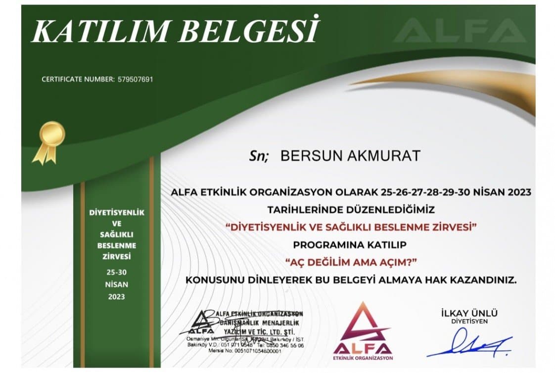 Bersun A. — çalışma 8