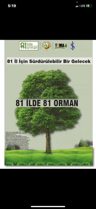 Betül K. — çalışma 4