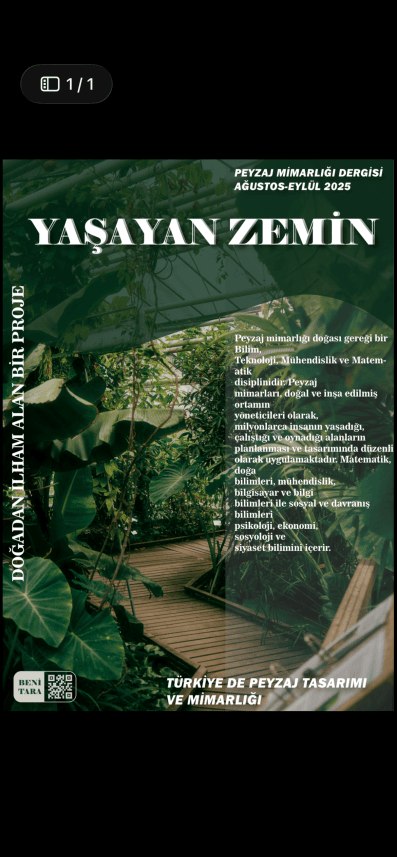 Beyza G. — çalışma 6