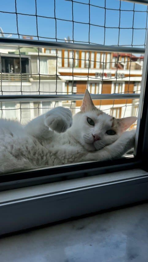 Beyza K. — çalışma 2