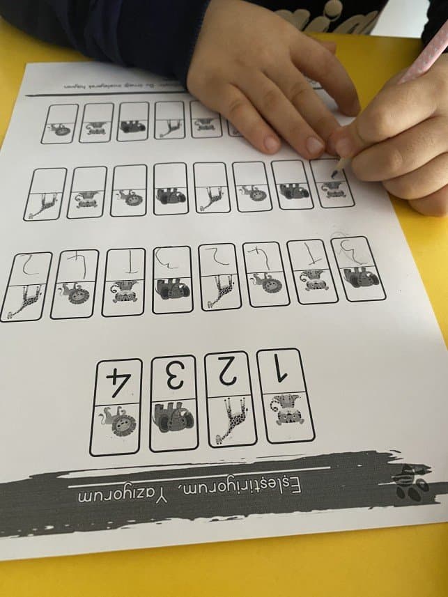Beyza A. — çalışma 3