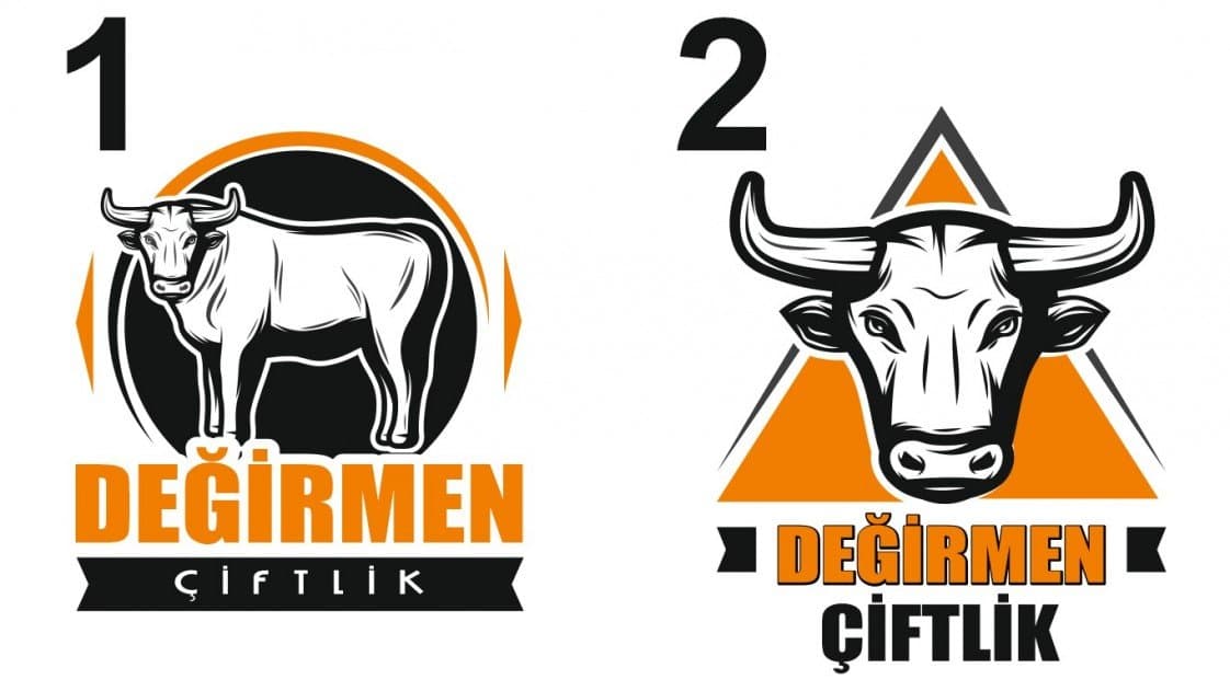 Bilgi G. — çalışma 4