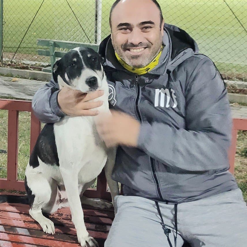 Bobi K. — çalışma 4