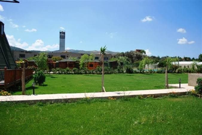 Bobyland O. — çalışma 1