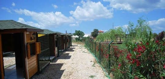 Bobyland O. — çalışma 4