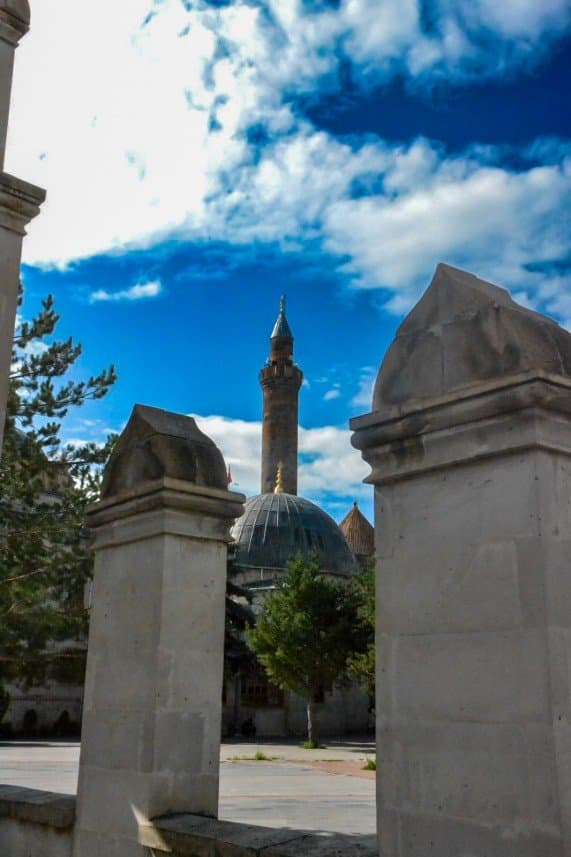Bora N. — çalışma 2