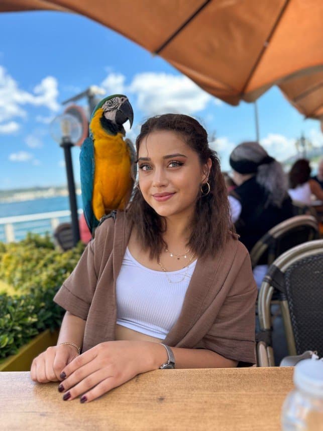 Burcu Ö. — çalışma 5