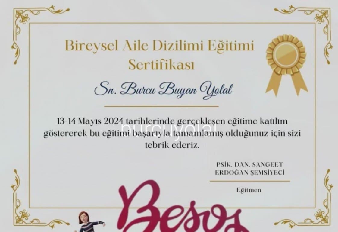 Burcu Y. — çalışma 1