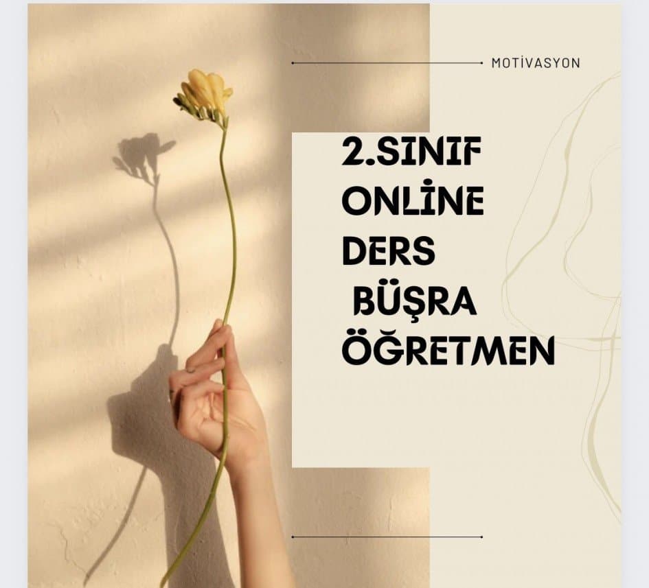 Büşra B. — çalışma 6