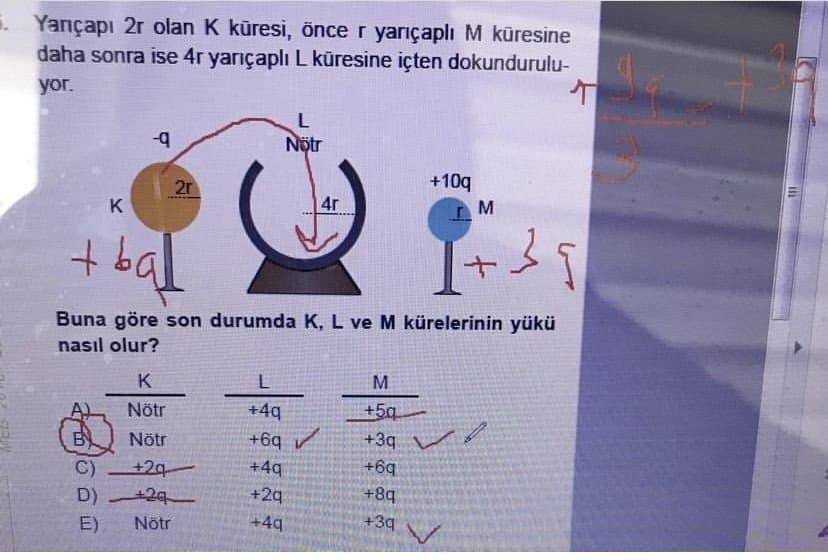 Büşra K. — çalışma 2