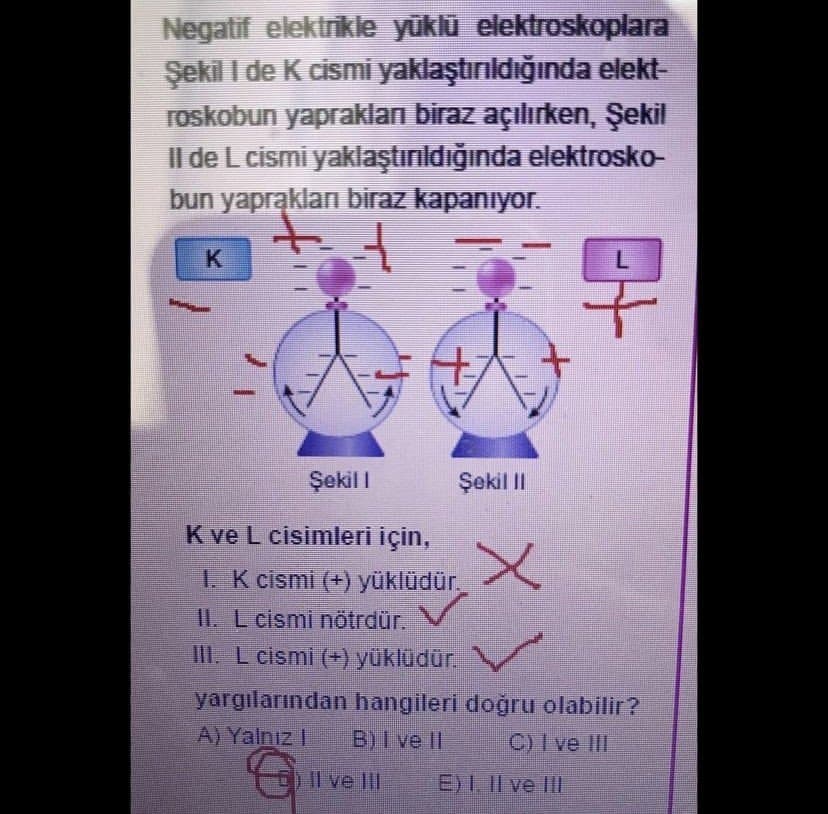 Büşra K. — çalışma 3