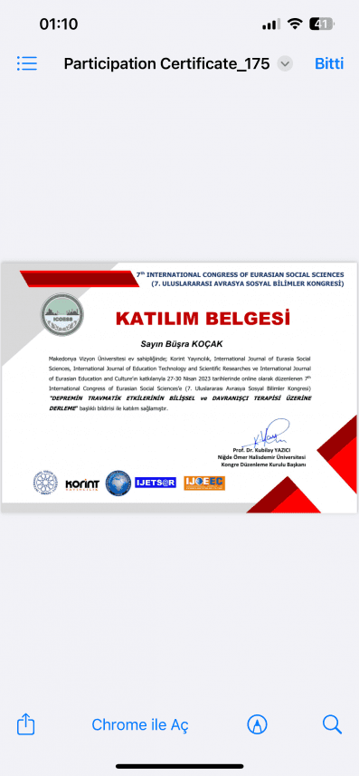 Büşra K. — çalışma 1