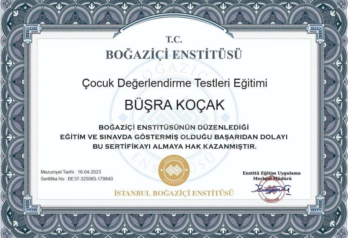 Büşra K. — çalışma 2