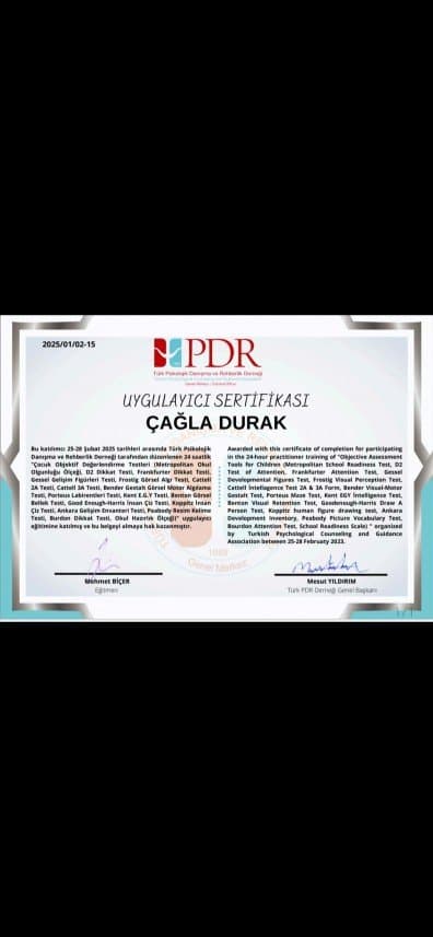 Çağla D. — çalışma 1