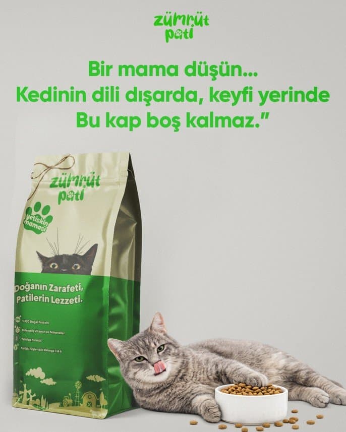 Can T. — çalışma 1