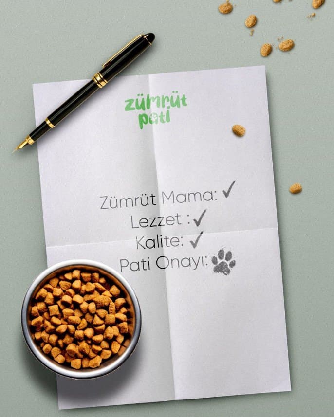 Can T. — çalışma 2
