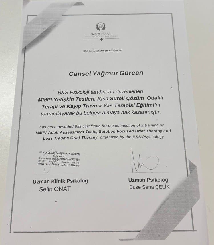 Cansel G. — çalışma 1