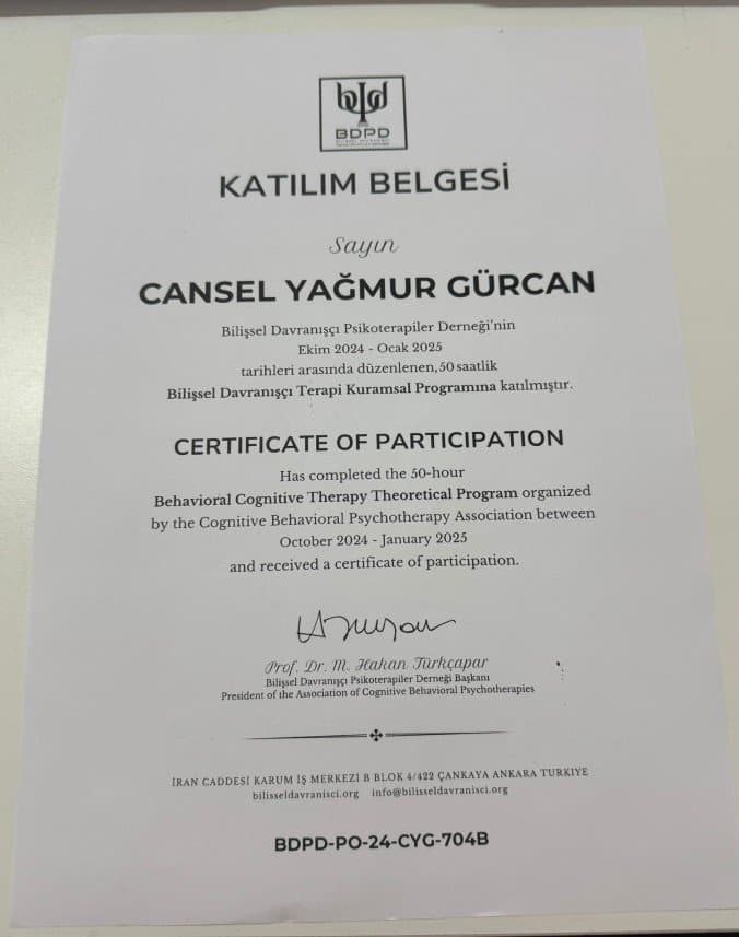 Cansel G. — çalışma 2