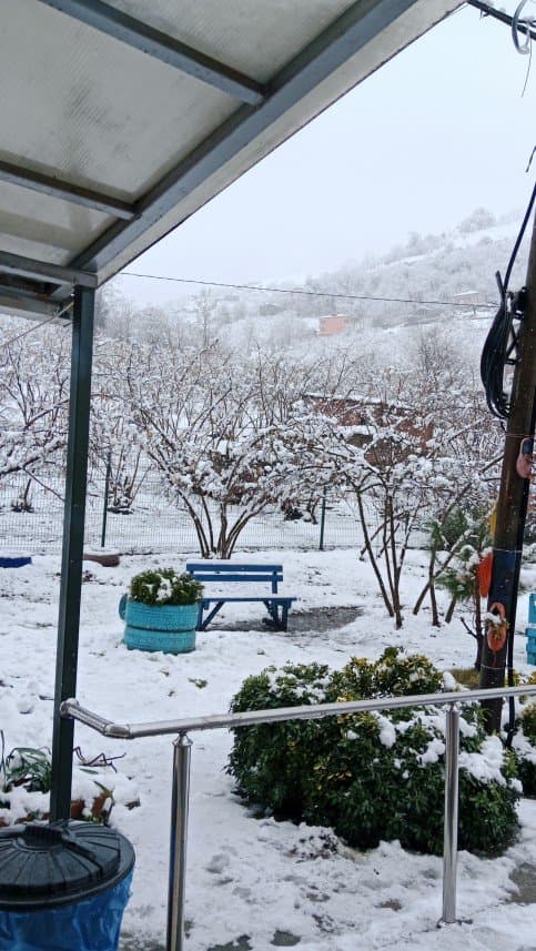 Cansın S. — çalışma 3