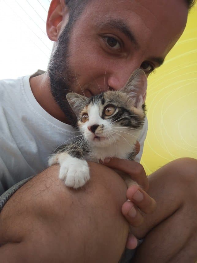 Cem S. — çalışma 1