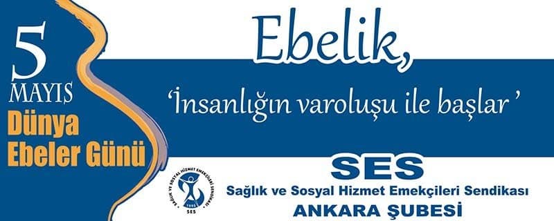 Cenani U. — çalışma 1