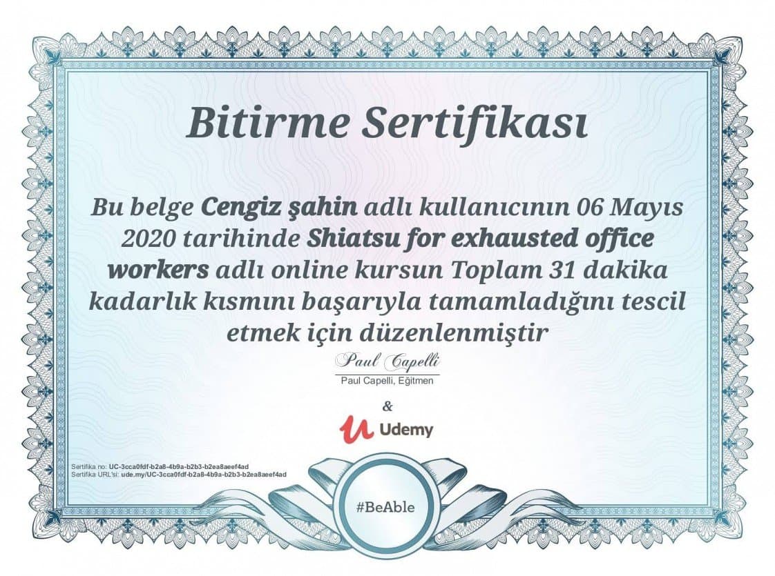 Cengiz Ş. — çalışma 2
