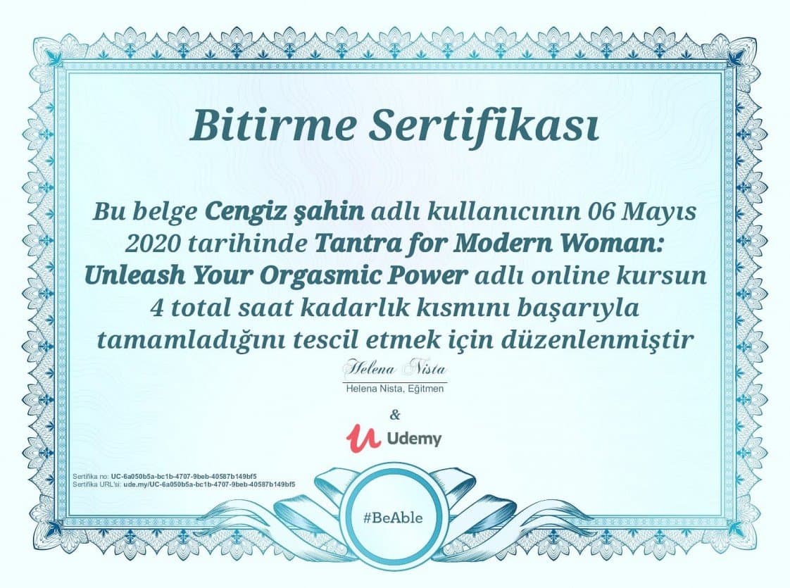 Cengiz Ş. — çalışma 3