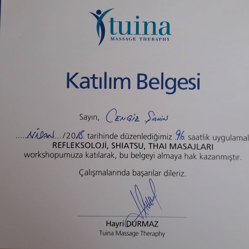 Cengiz Ş. — çalışma 4