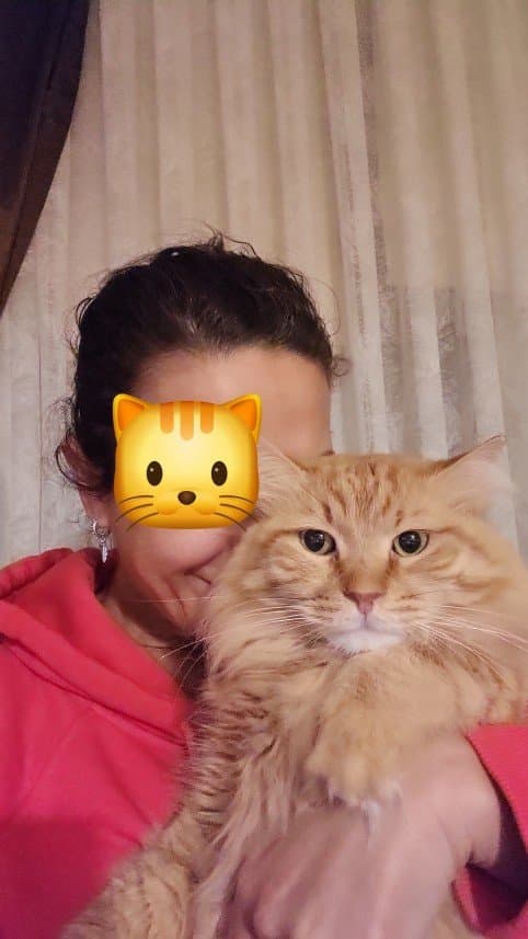 Ceren C. — çalışma 1