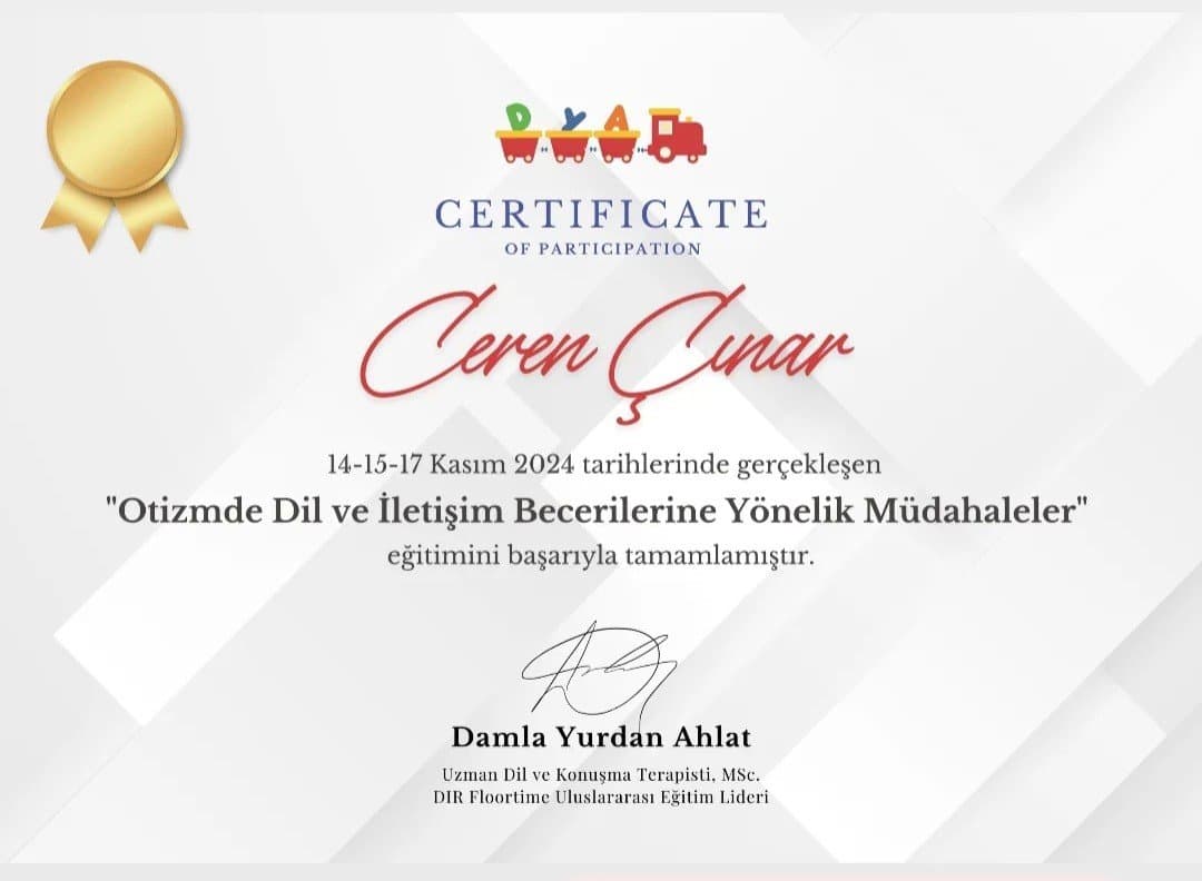 Ceren Ç. — çalışma 1