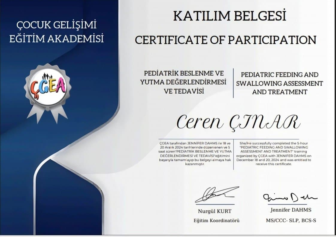 Ceren Ç. — çalışma 8