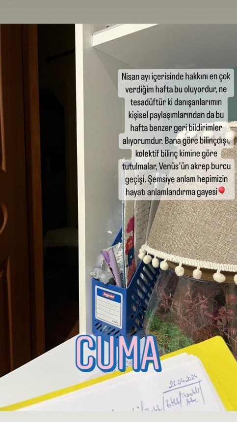 Ceren D. — çalışma 7