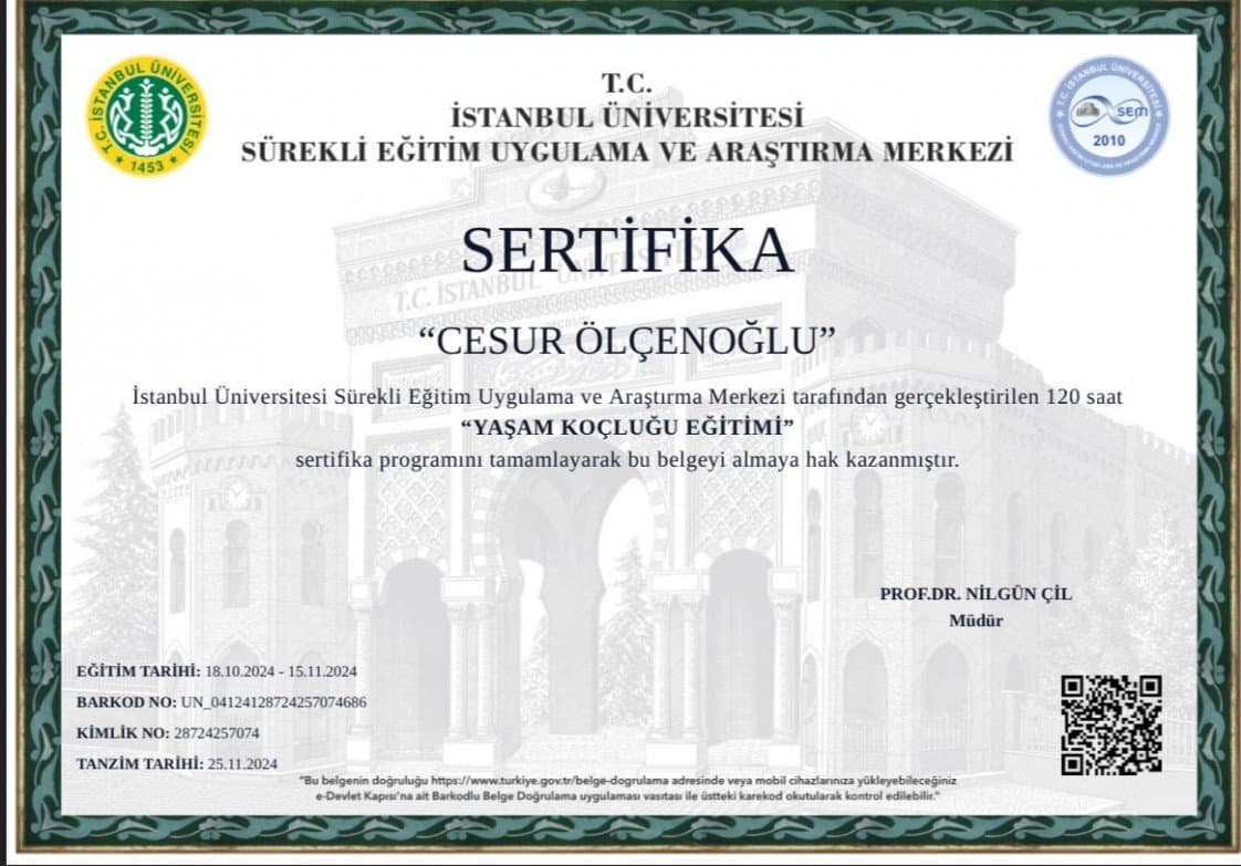 Cesur Ö. — çalışma 1