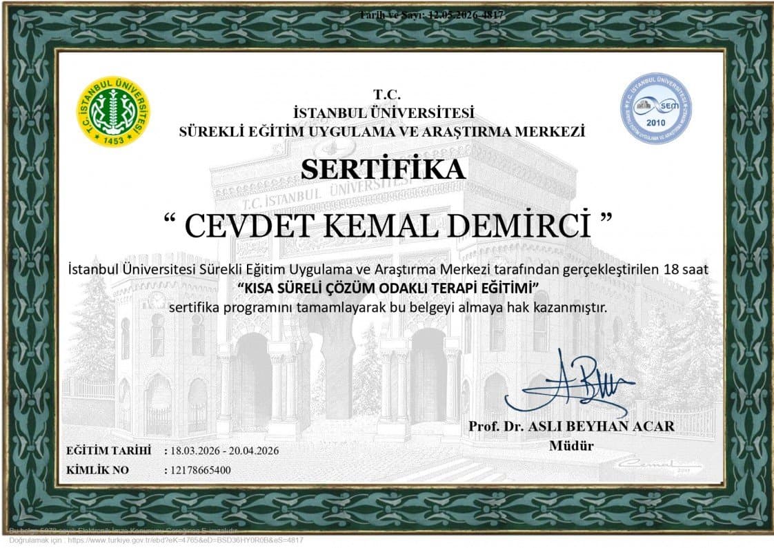 Cevdet D. — çalışma 1