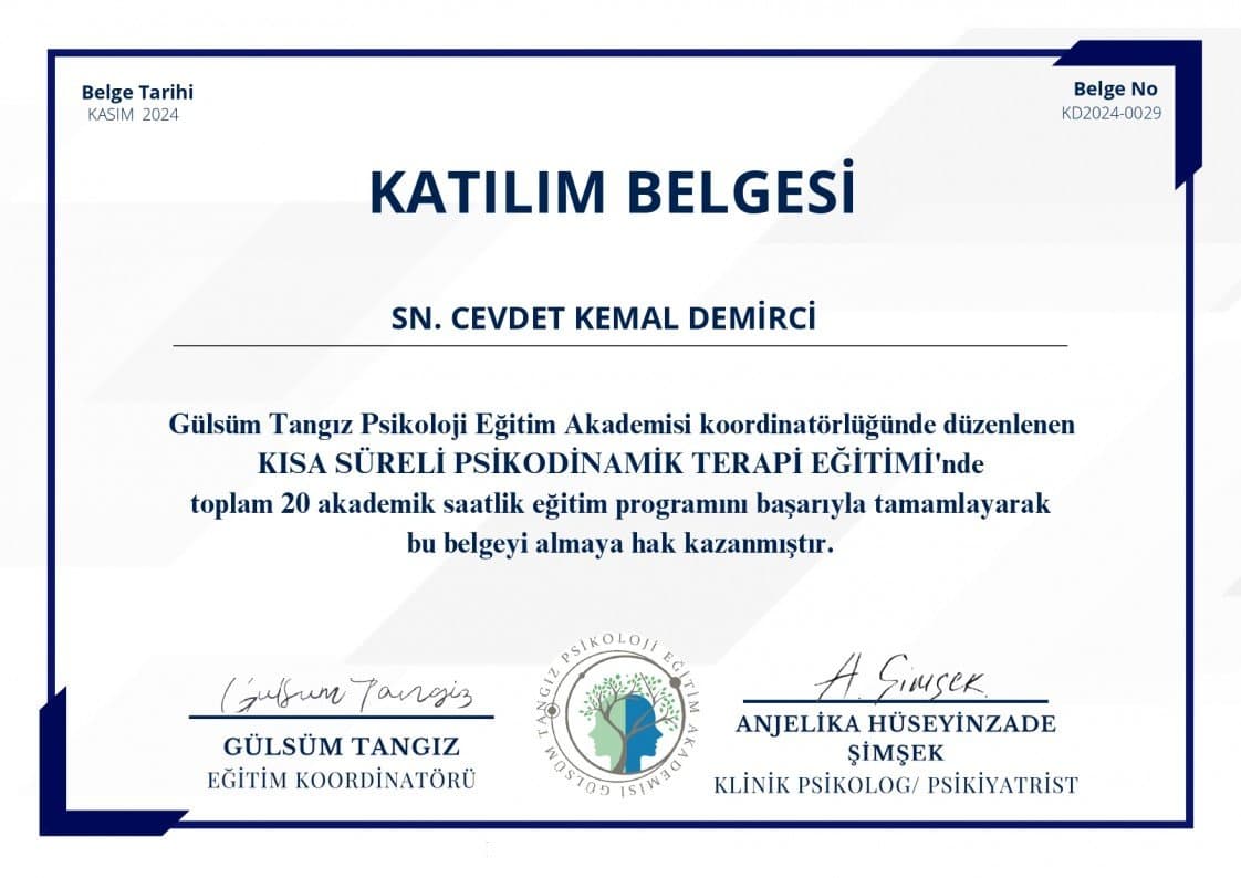 Cevdet D. — çalışma 2