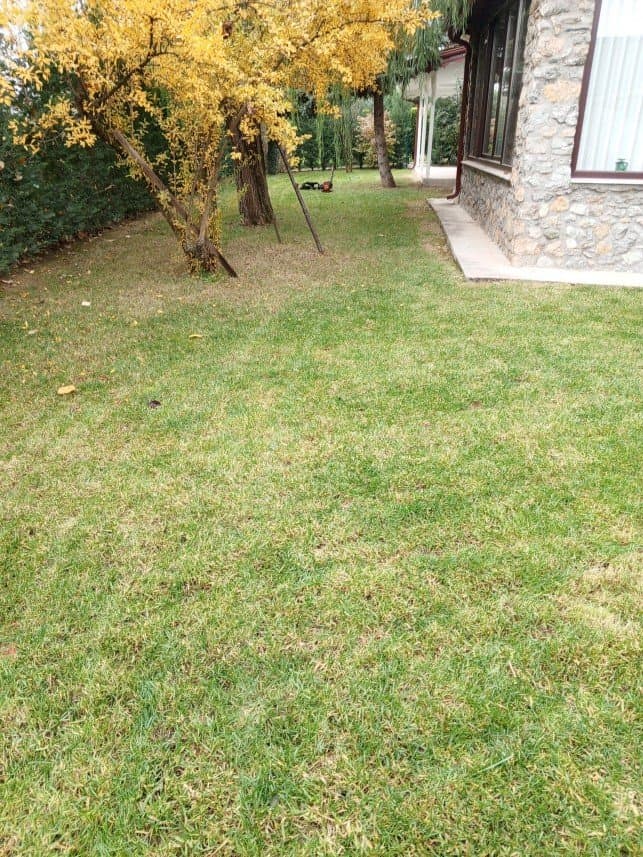 Cihan A. — çalışma 4