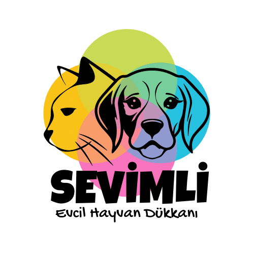 Damla Y. — çalışma 3