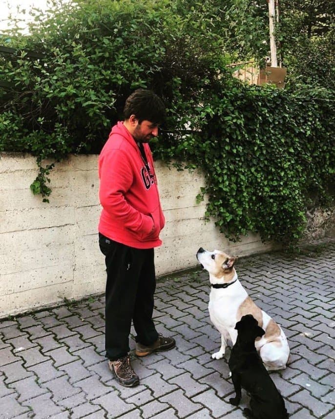 Deniz T. — çalışma 4