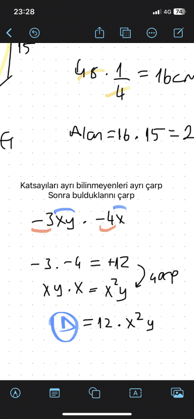 Dilara K. — çalışma 2