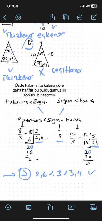 Dilara K. — çalışma 3